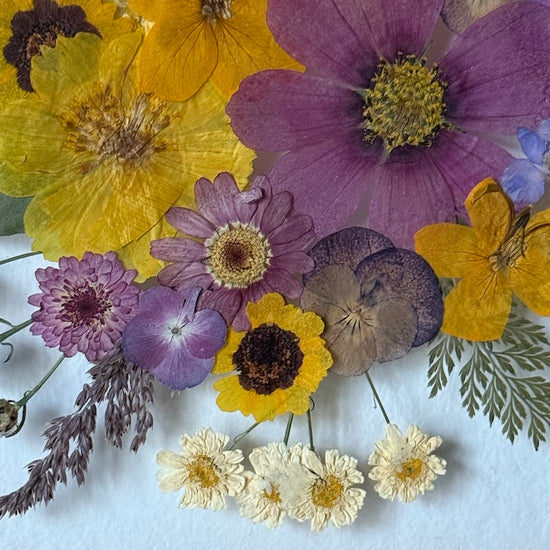 Probuzení do letního rána