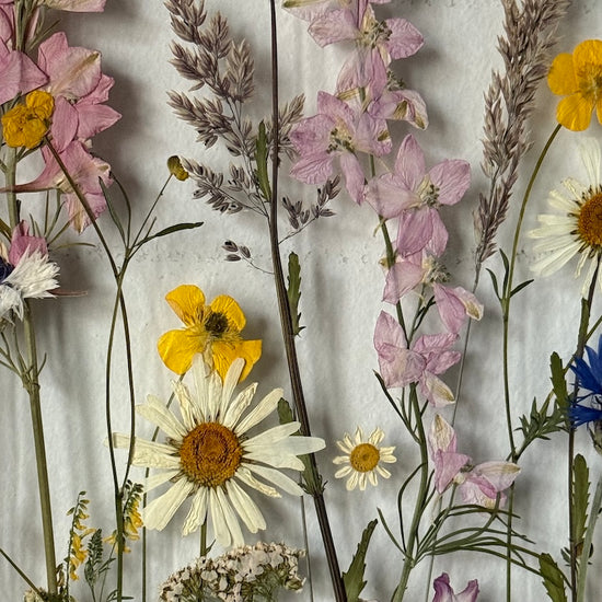 Natrhám ti květinu