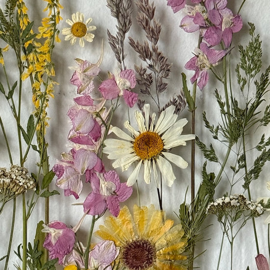 Ve větříku kveteme si