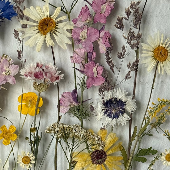 Lehnout si do rozkvetlé louky