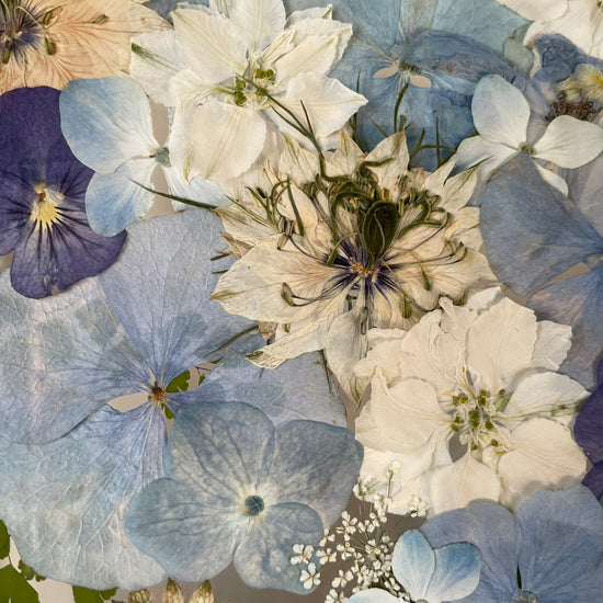 Slyším zurčení lesního potůčku