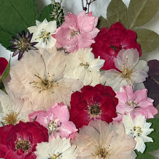 Růžičkový polibek