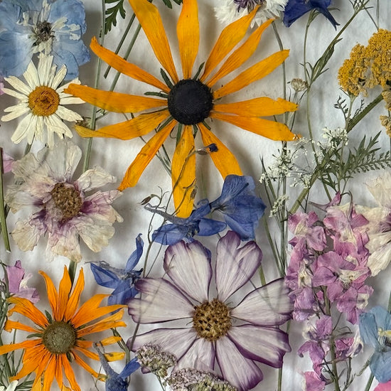 Louka, kde se plní všechna přání