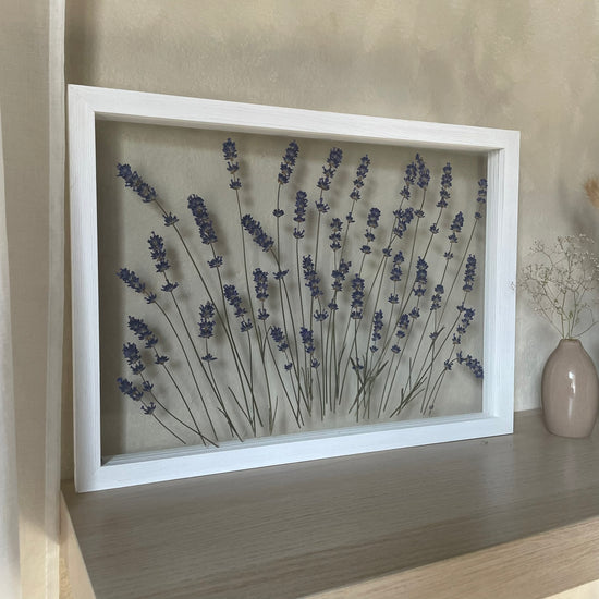 Levandulový kopeček