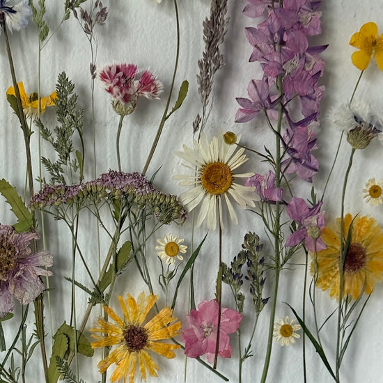 Pohladí tě na duši