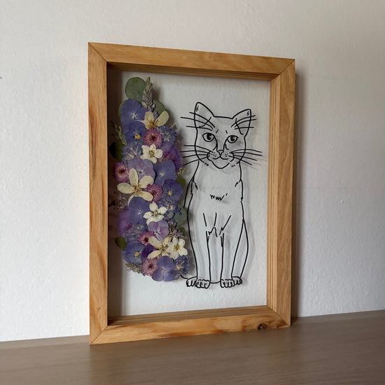 Královská kočička