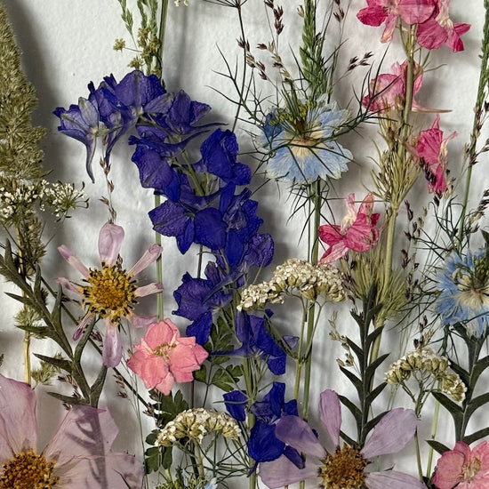 Stébla plná tajemna