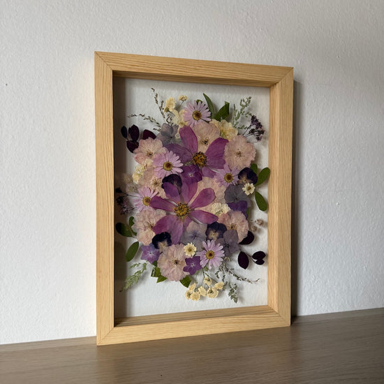 V obklopení růžové