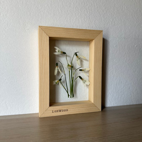 Něžné sněženky
