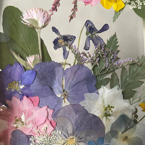 První fialky probuzené