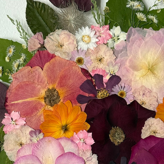 Rozkvetlá dokonalost