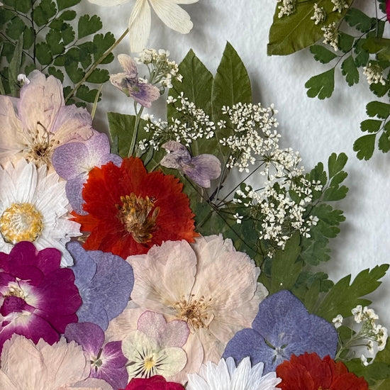 Tam, kde barvy rozkvétají