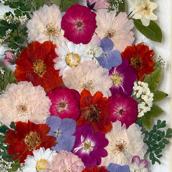 Život v plném květu