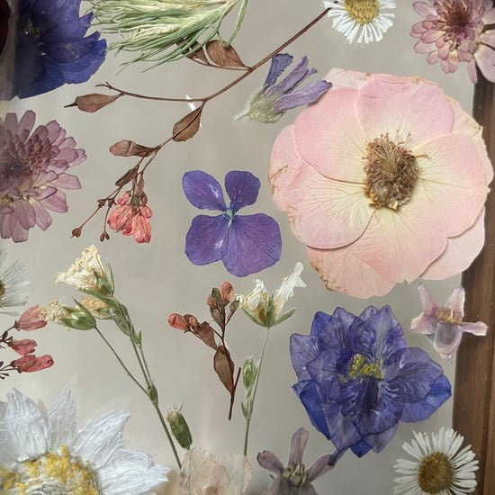 Na břehu v rákosí