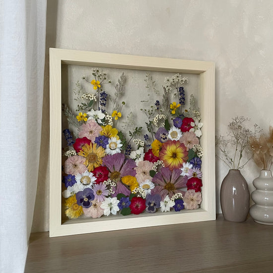 Pralesníček barevníček