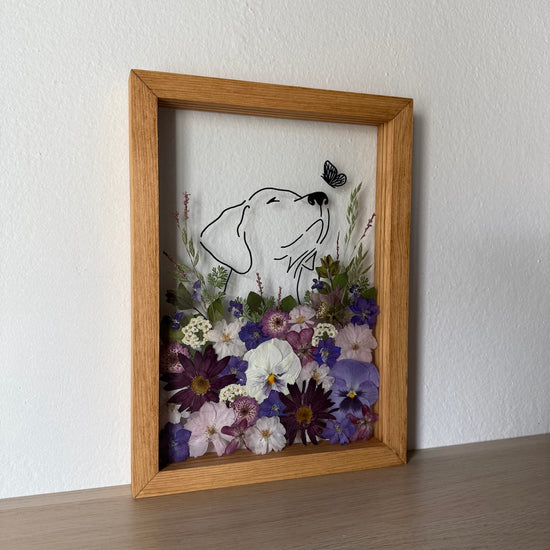 Pejsek a motýlí kouzlo