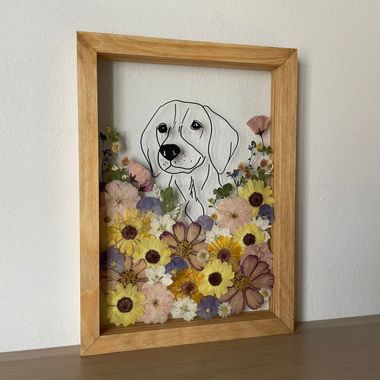 Louka plná dobrodružství