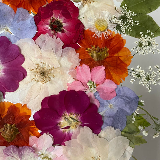 Svěžest jarní zahrady