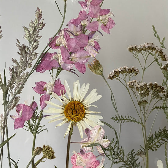 V květu a v rozpuku